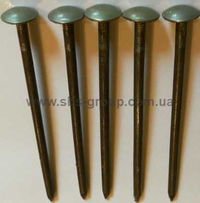 Гвозди шиферные 120х5,0 (фас.2кг)